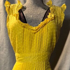 Anthropologie's Moulinette Soeurs Golden Ruffle Dress. Textured Dot Size 10